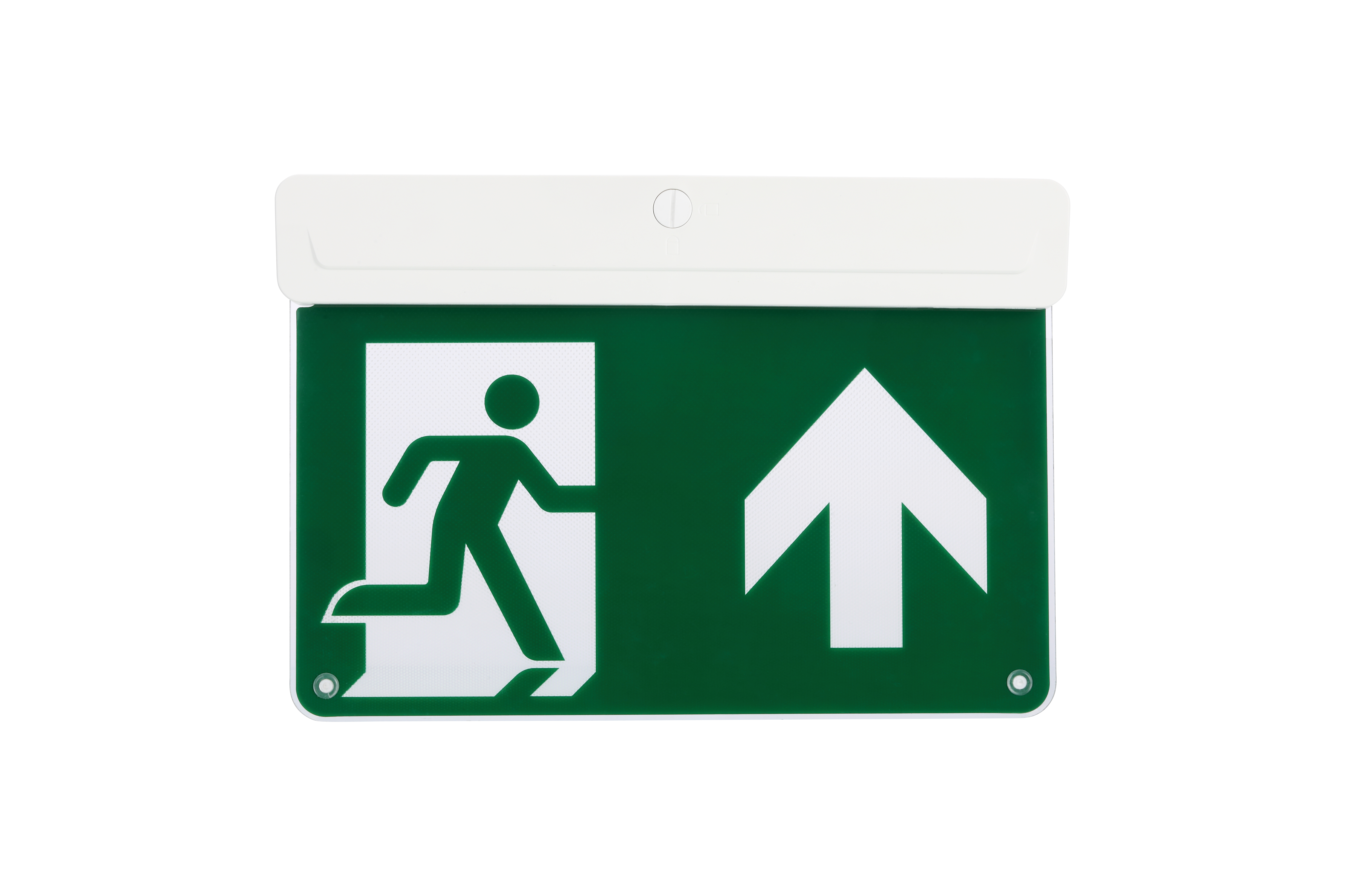0032018 - LiFeSafe Multifix Exit Sign EX C EM3 NM/MT ST - Professional